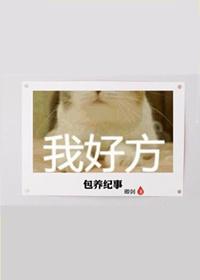 Baoyang Chronicle